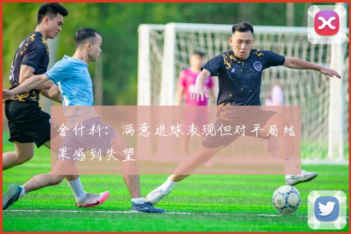 舍什科：满意进球表现但对平局结果感到失望
