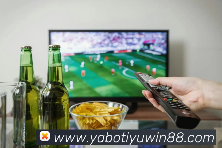 多媒体互动体验